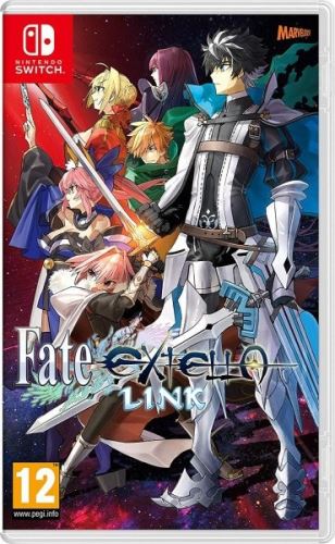 Nintendo Switch Fate/Extella Link